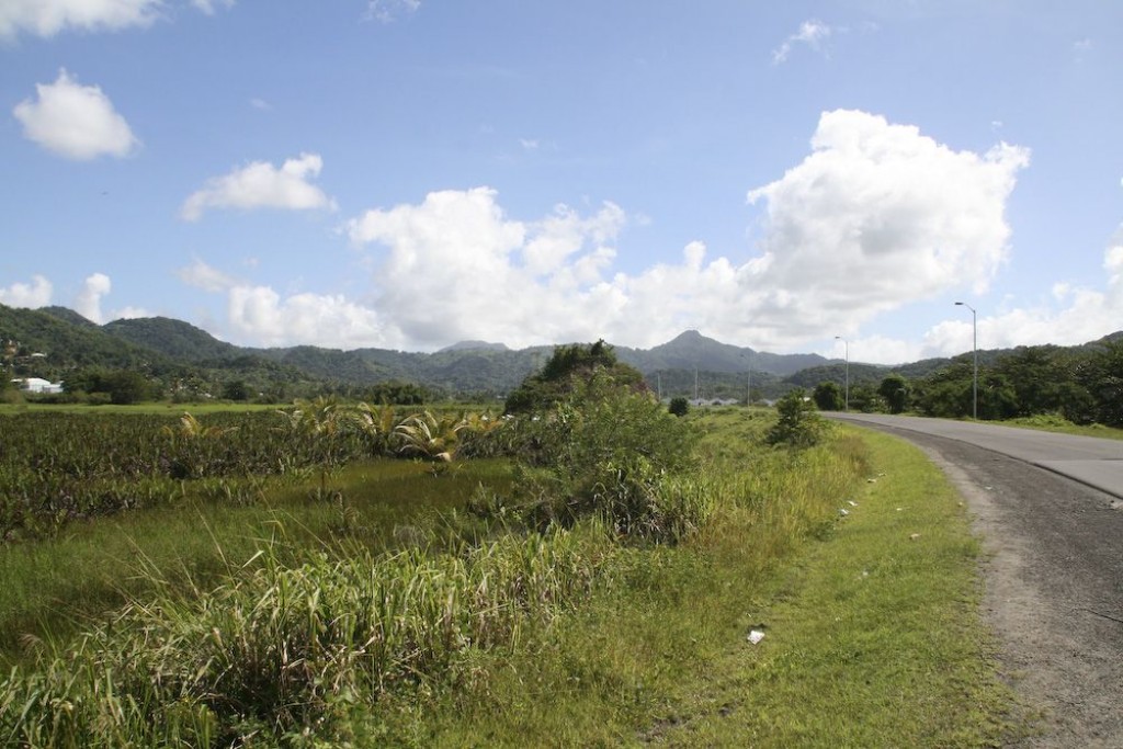 We went for a drive around the island. This is taken just outside of Rodney Bay.